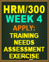 HRM/300 Training Needs Assessment